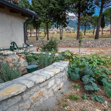 Dianne 2 Livadi Arachovas *